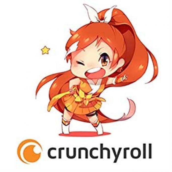 How to Download from Crunchyroll?