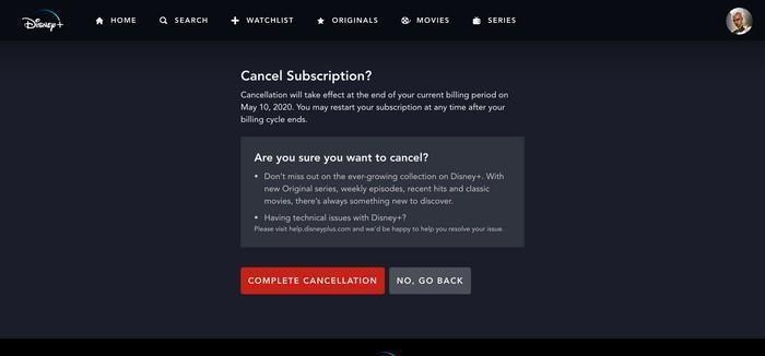 Disney Plus subscription